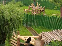 -沈阳森林动物园