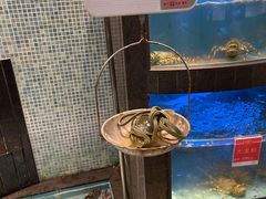 水产区-御同亨酒楼·喜宴