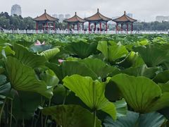 -长春市南湖公园