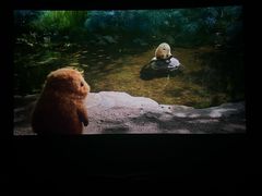 -华谊兄弟影院(IMAX洋桥店)