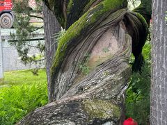 -东天目山风景区