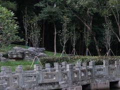 -深圳国际园林花卉博览园