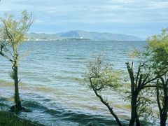 -大理洱海