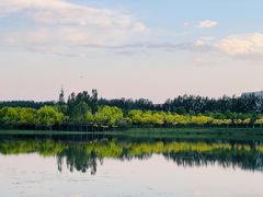 -东郊湿地公园