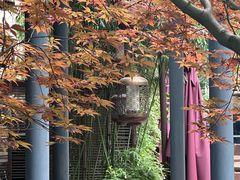 -湖滨客舍·湖北菜