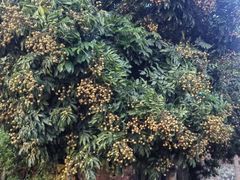 -飞霞风景名胜区