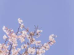 -白塘生态植物园