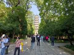 -灵谷景区