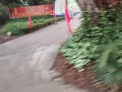 -广西壮族自治区药用植物园