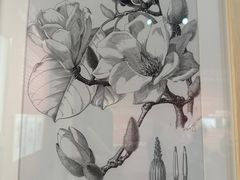 -昆明植物园
