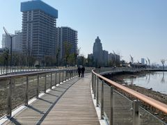 -金沙湖公园