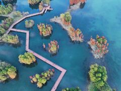 -贡湖湾湿地公园