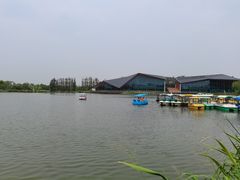 -上海长兴岛郊野公园