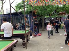 -尚庄度假村·庭台树下·户外烧烤·团建CS·轰趴营地(上庄水库店)