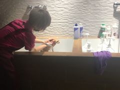 -MOLLY'S萌宠生活馆