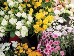 -ChaKo Flora ·茶子花艺 (市北店)