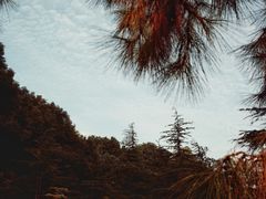 -石湖景区