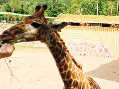 -泉州海丝野生动物世界