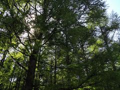 -白草畔自然风景区