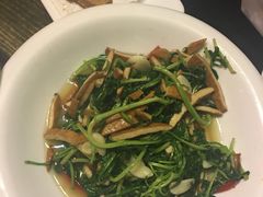 -秀水人家