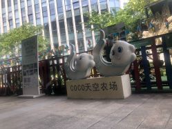 -可可天空农场(中大店)