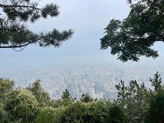 -兰山公园