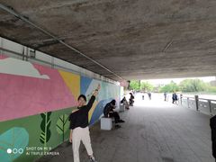 -嘉定紫藤园