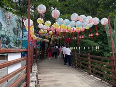 -西双版纳原始森林公园