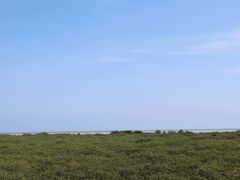 -北海金海湾红树林生态旅游区