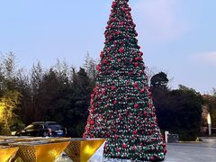 -品悦(崇明凯悦店)