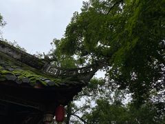 -青城山