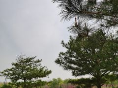 -燕郊植物园