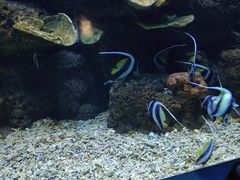 -蓬莱欧乐堡海洋极地世界