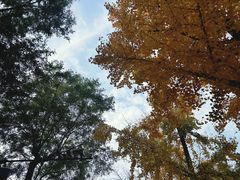 -北京大学百年讲堂