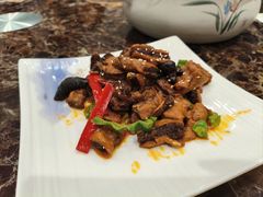 -马白开来特色羊排揪片子  (总店)