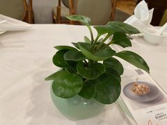 -白云中餐厅·粤菜·亚龙湾喜来登度假酒店