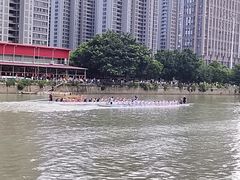 -光明港公园