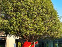 -昆山城市生态森林公园