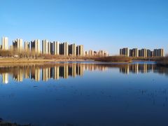 -丁香湖公园