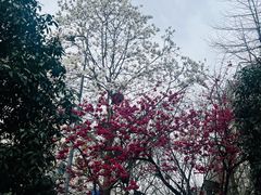 -西安创业咖啡街区