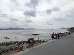 -深圳湾公园(南山区)