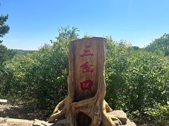 -大青沟风景区
