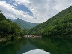 -龙道沟景区
