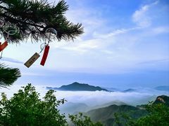 -六里坪国家森林公园