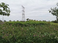 -紫颐香薰山谷景区