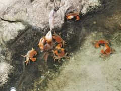 -正佳雨林生态植物园