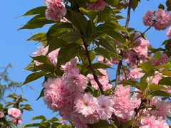 -重庆中央公园(渝北区)