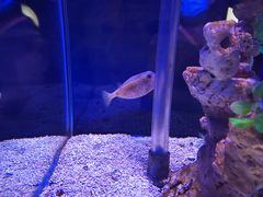 -太平洋海底世界