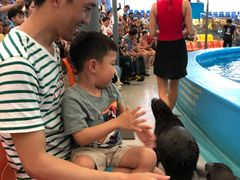 -尼莫海豚馆