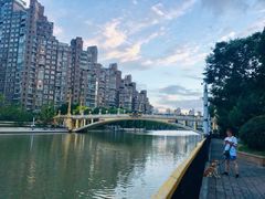 -新湖明珠城